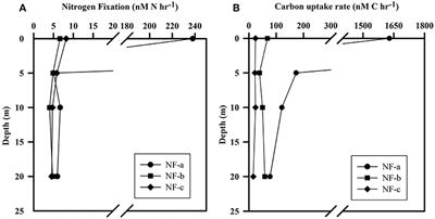 Corrigendum: N2 Fixation in the Eastern Arabian Sea: Probable Role of Heterotrophic Diazotrophs